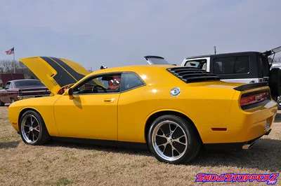 2010 Dodge Challenger - Image 2